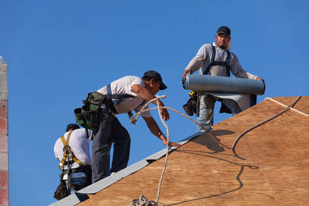 Best Metal Roofing Contractor  in Payne, OH